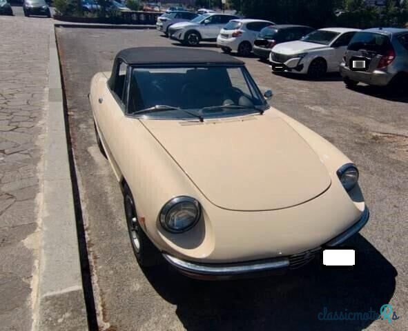 1978' Alfa Romeo Spider photo #2