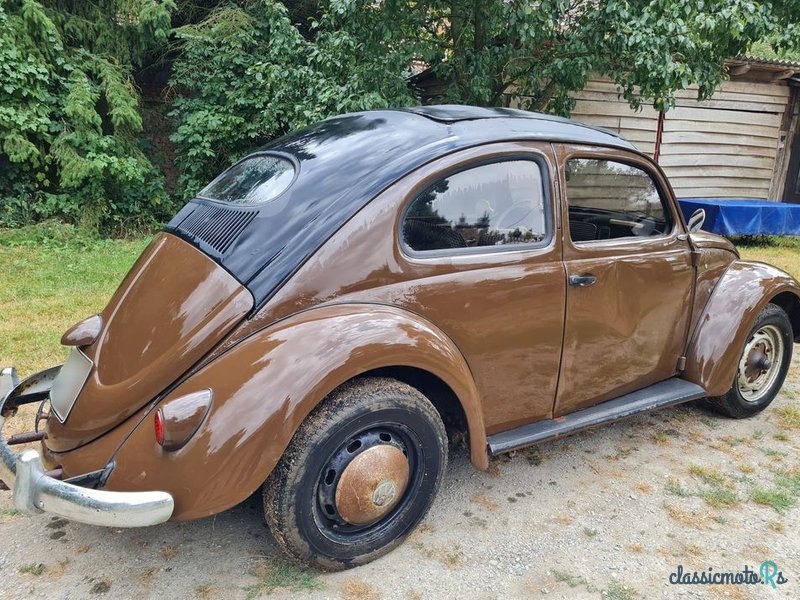 1954' Volkswagen Garbus photo #6