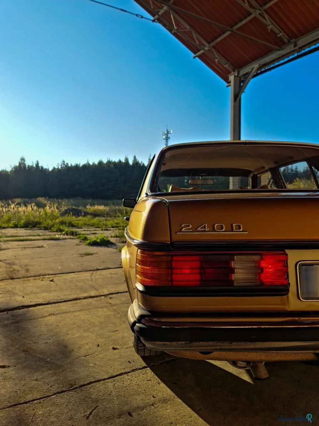 1977' Mercedes-Benz W123 photo #6