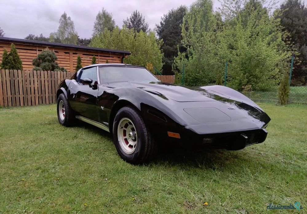 1977' Chevrolet Corvette photo #1