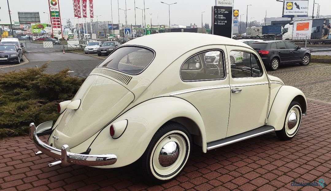 1960' Volkswagen Garbus photo #6