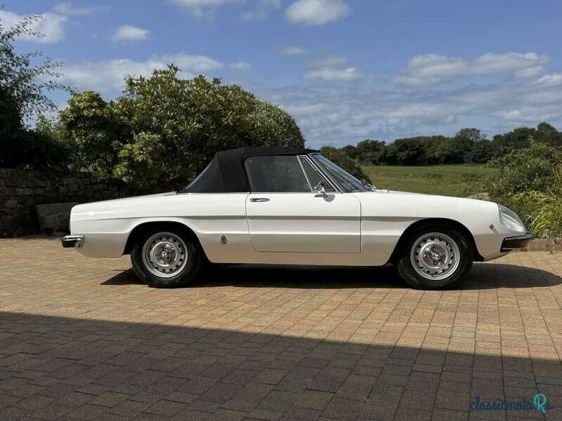 1972' Alfa Romeo Spider photo #4