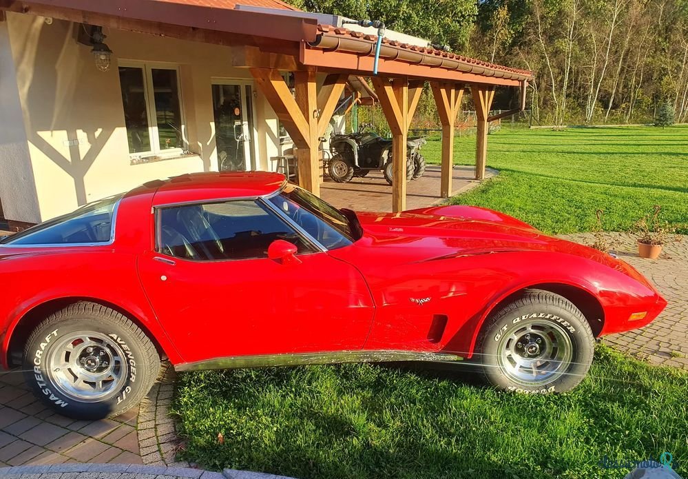 1978' Chevrolet Corvette photo #5
