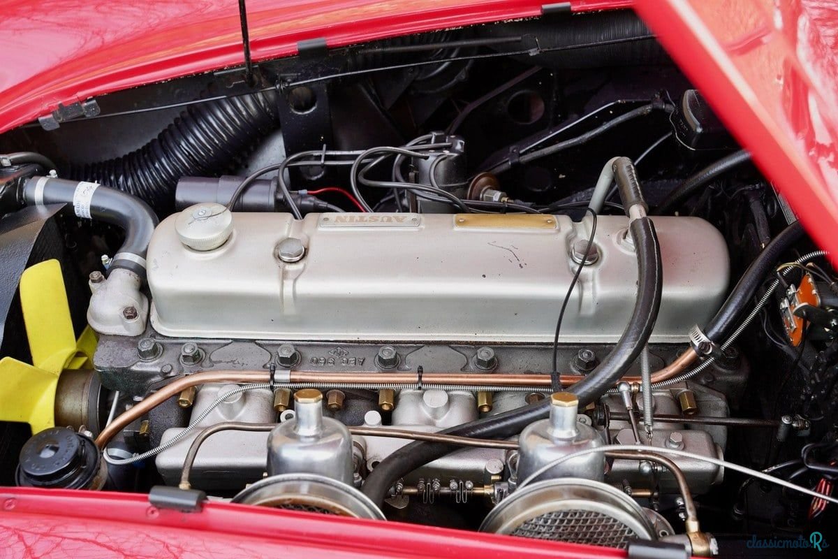 1961' Austin-Healey 3000 photo #4