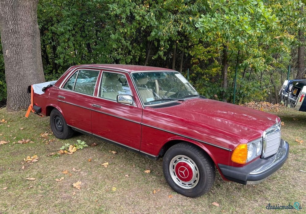 1977' Mercedes-Benz W123 photo #4