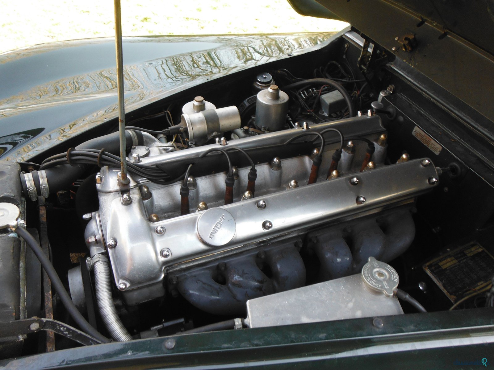 1955' Jaguar Xk140 photo #4