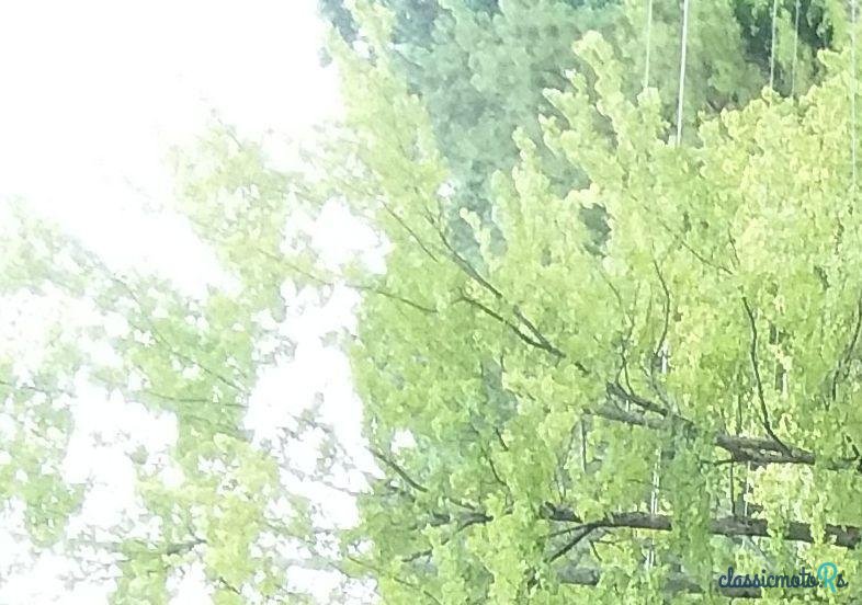 1965' Shelby Cobra Replica photo #1