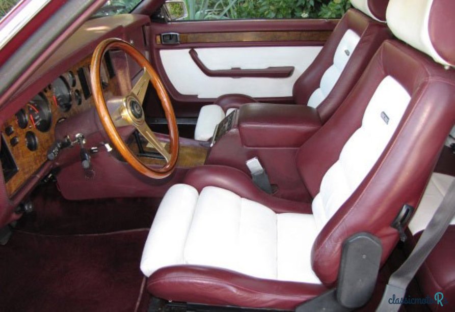 1985' Zimmer Golden Spirit photo #3