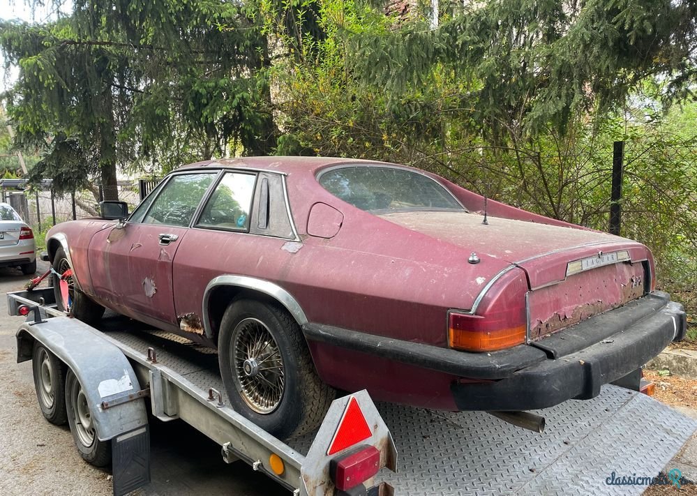 1978' Jaguar XJS photo #5