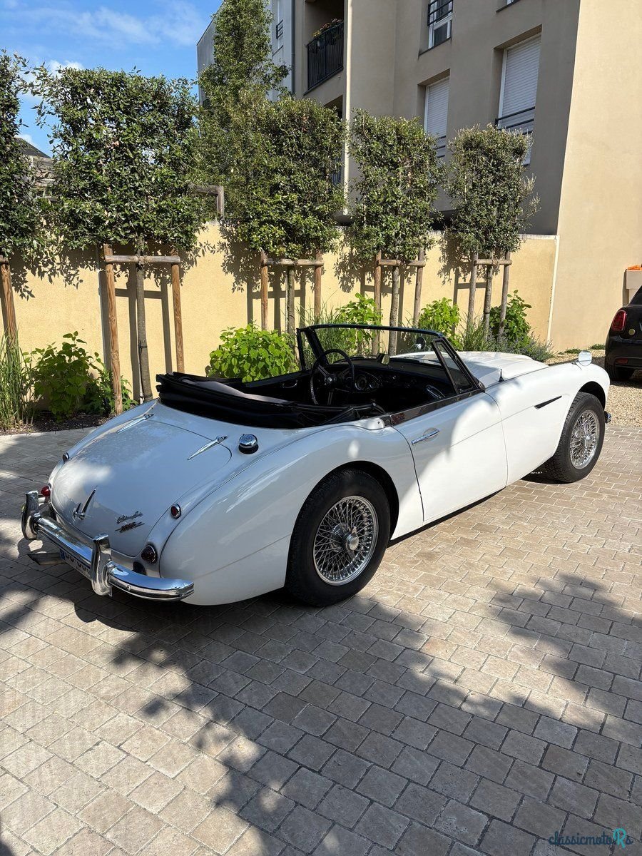 1963' Austin-Healey 3000 photo #2