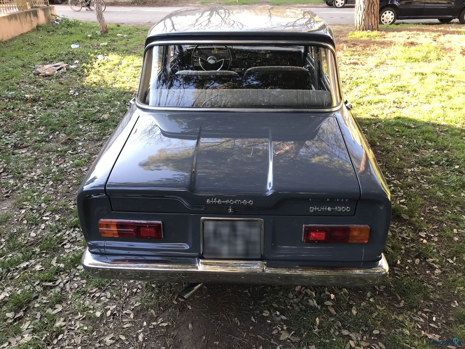 1964' Alfa Romeo Giulia photo #2