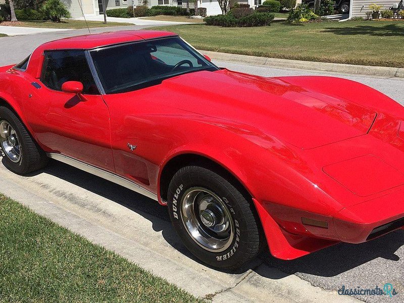 1978' Chevrolet Corvette photo #6