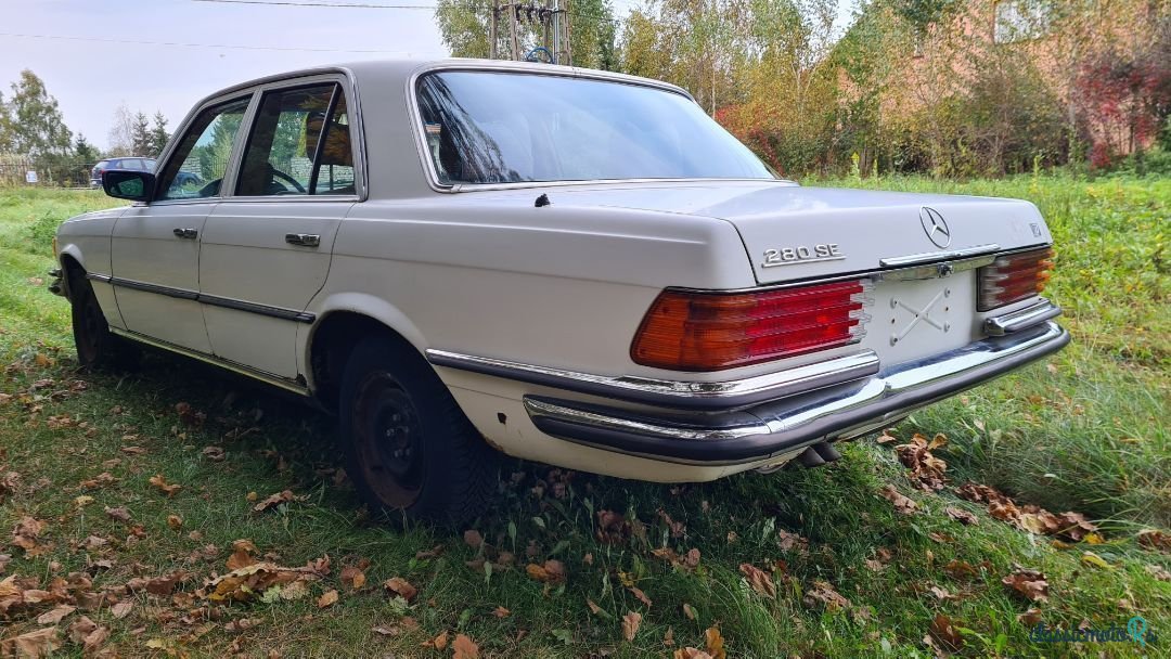 1979' Mercedes-Benz 280 photo #4