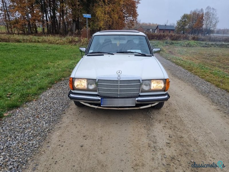 1979' Mercedes-Benz W123 photo #2