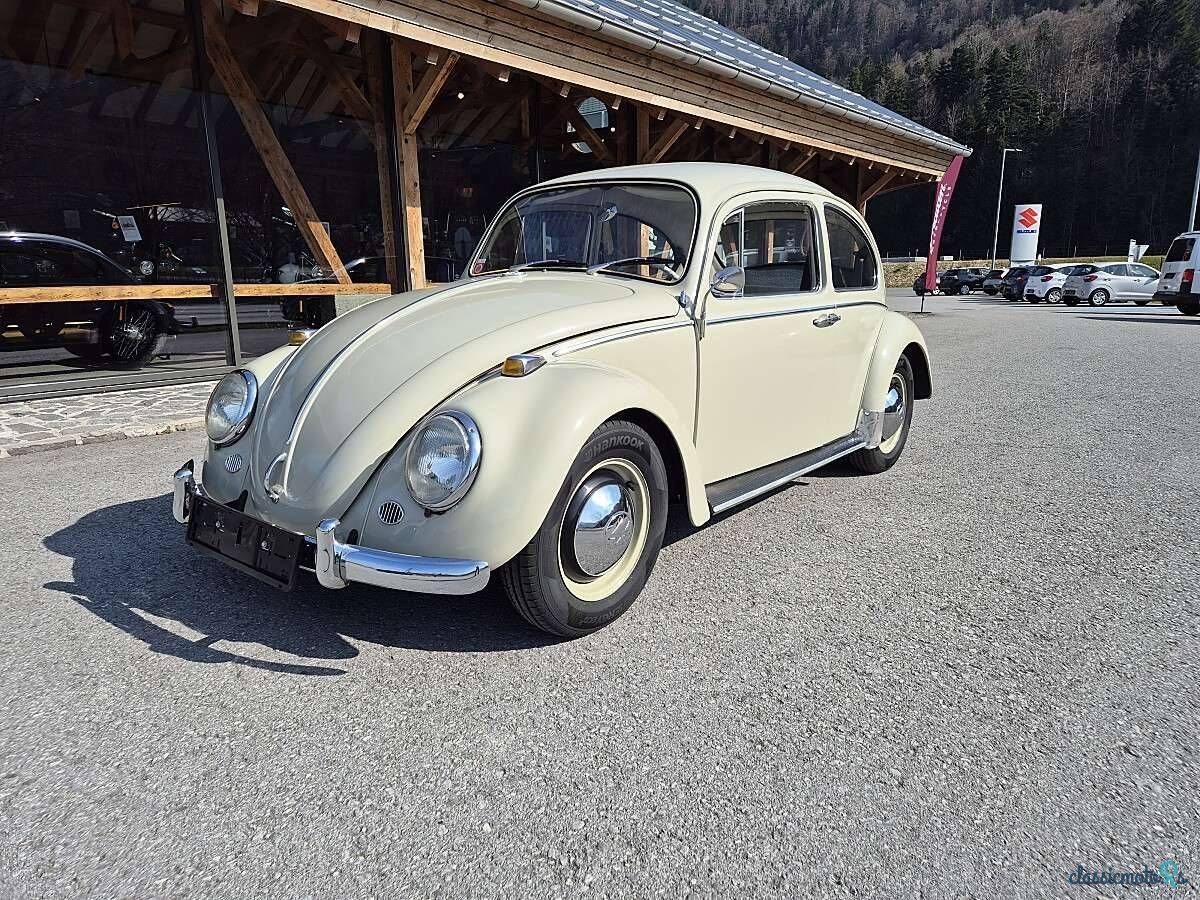 1965' Volkswagen Käfer photo #1