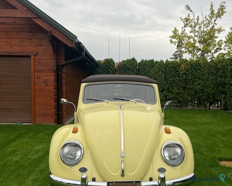 1962' Volkswagen Garbus photo #4