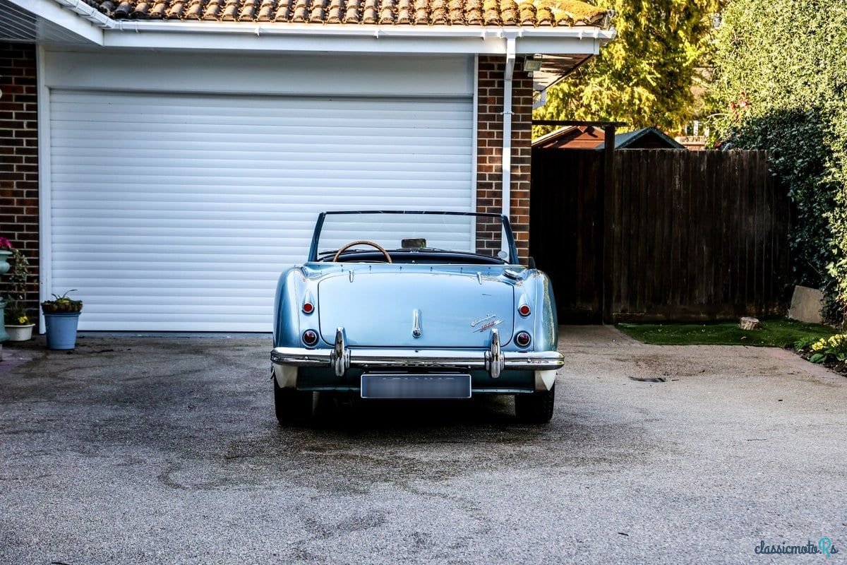 1960' Austin-Healey 3000 photo #6