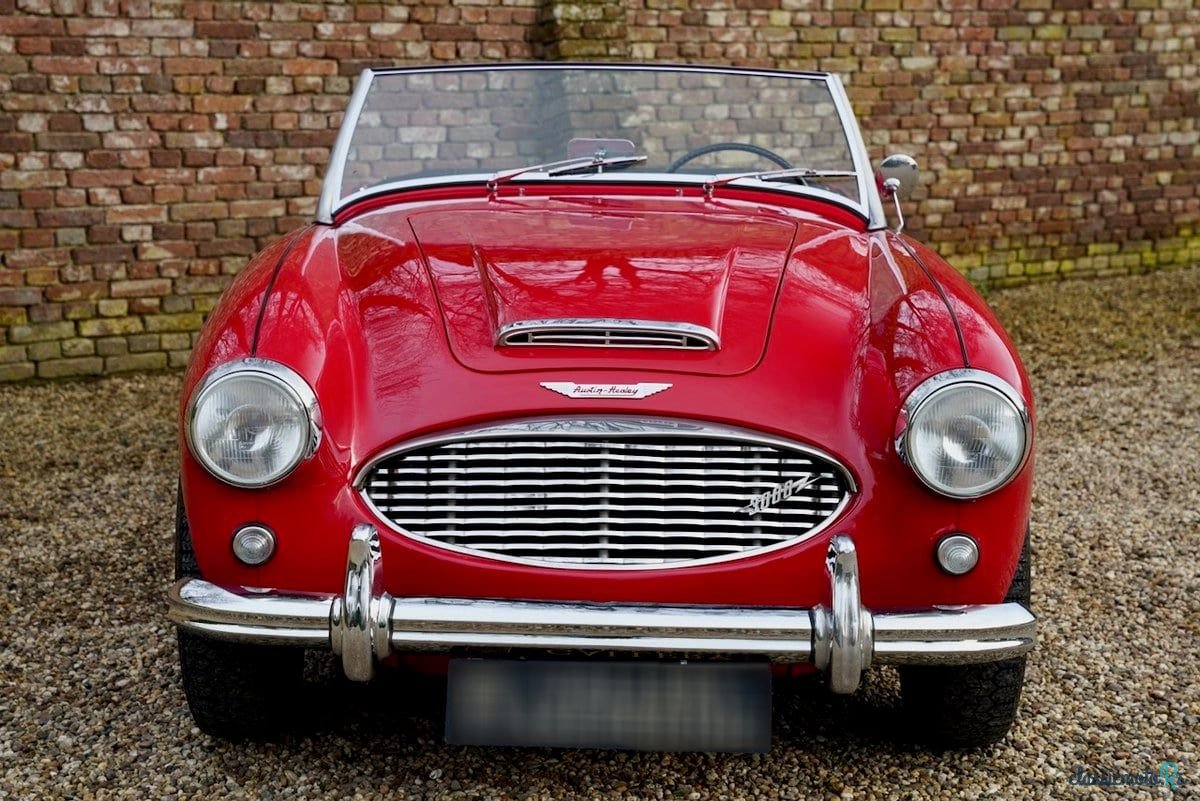 1961' Austin-Healey 3000 photo #6