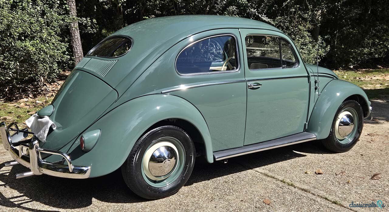 1956' Volkswagen Beetle photo #3