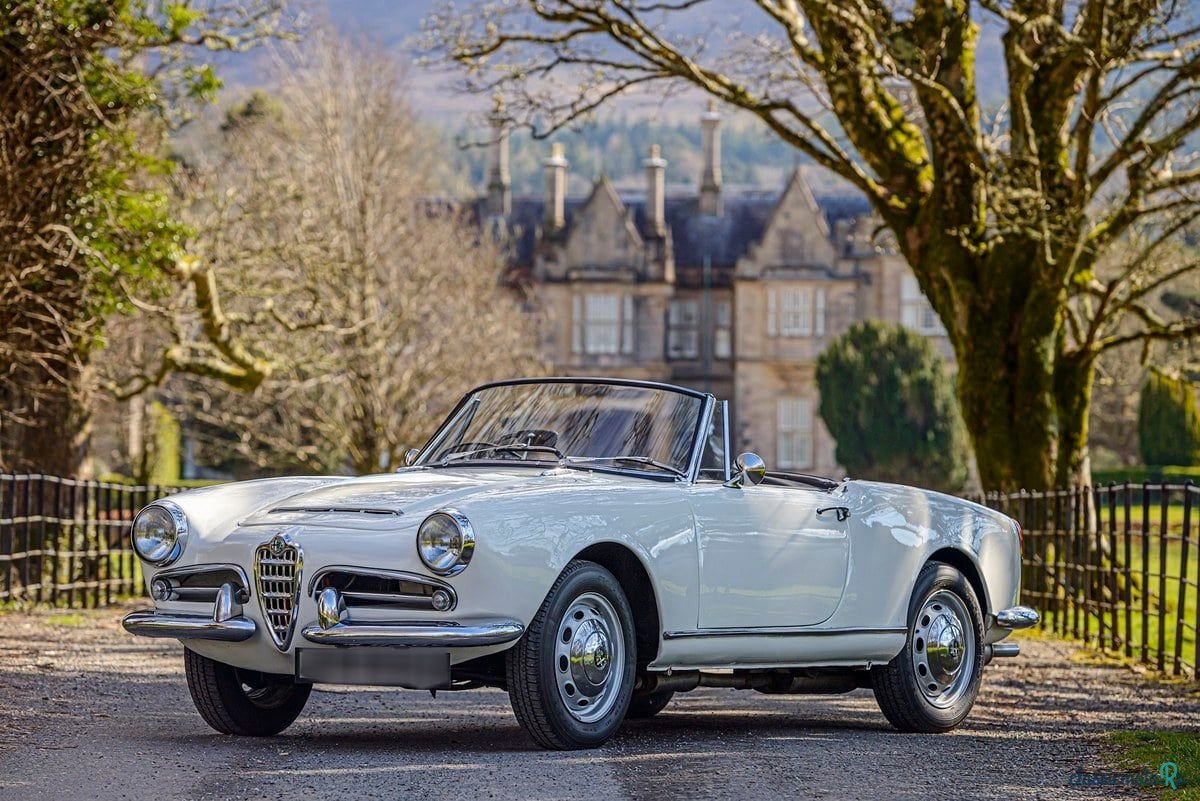 1964' Alfa Romeo Giulia photo #1