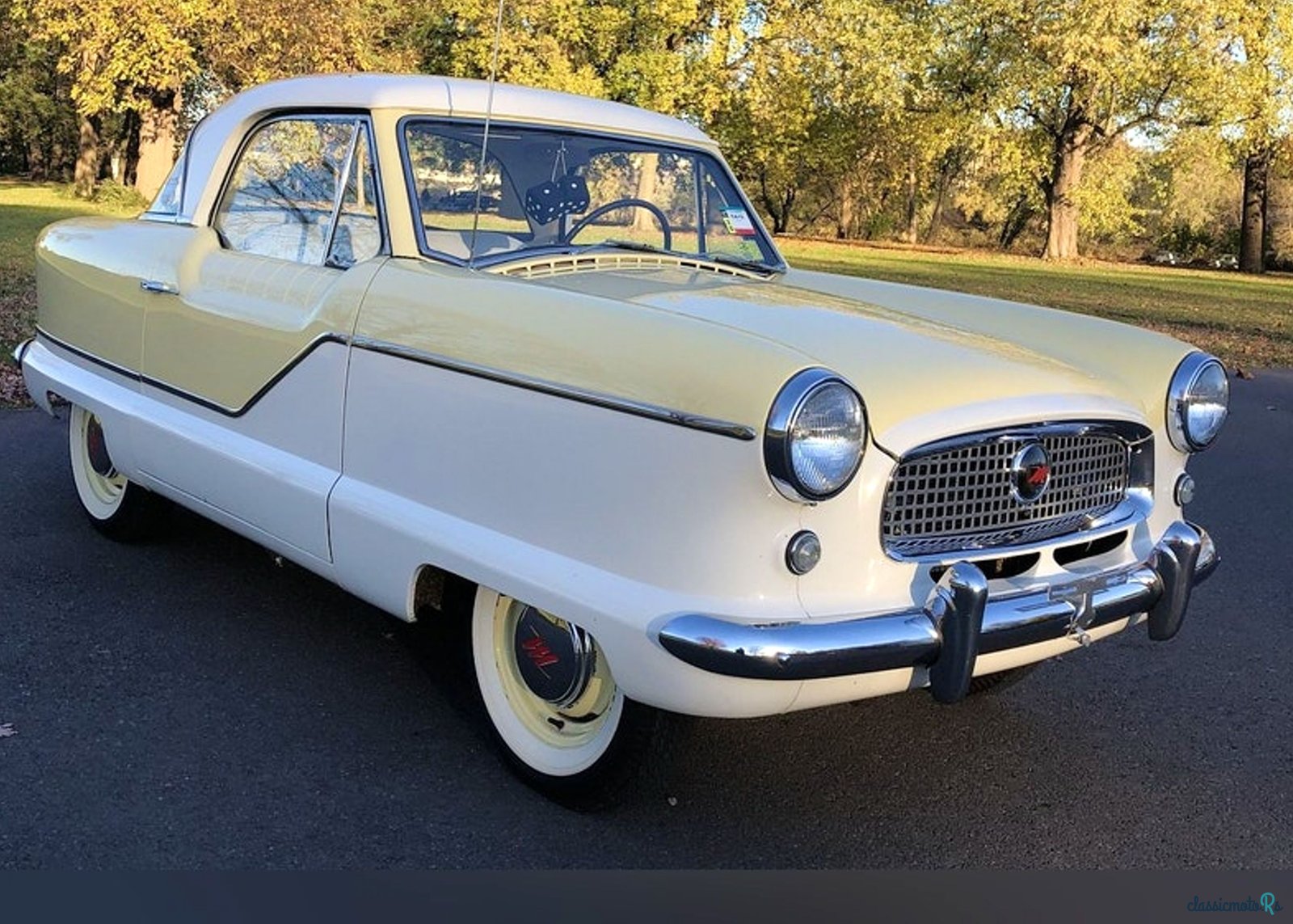 1959' Nash Metropolitan Coupe photo #1