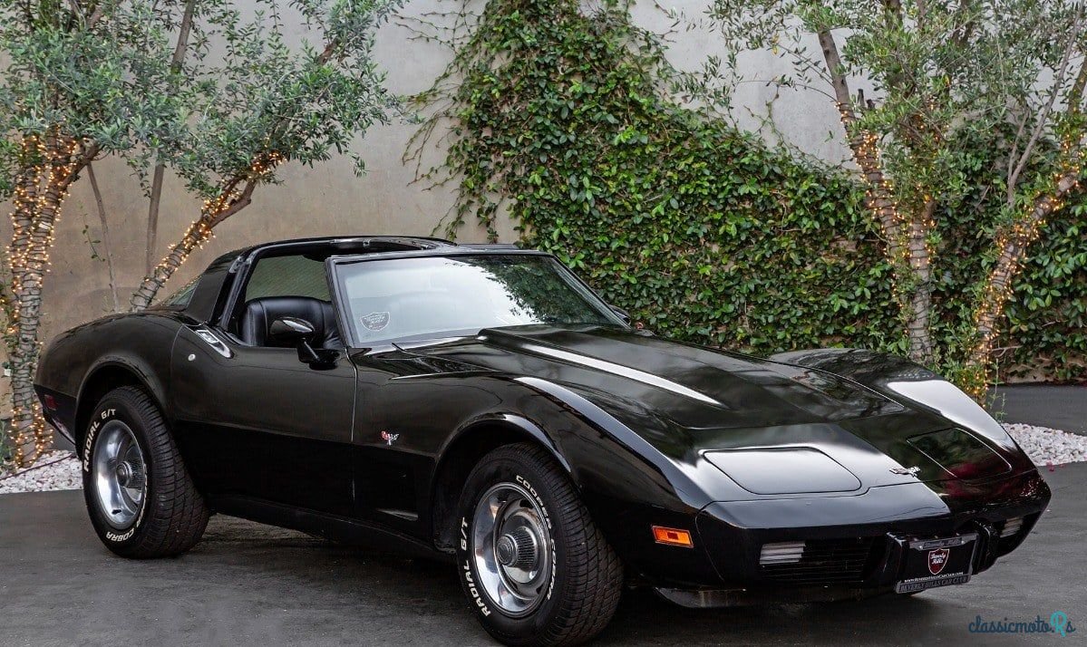 1979' Chevrolet Corvette photo #1