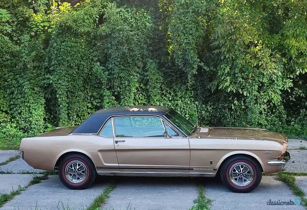 1965' Ford Mustang photo #5