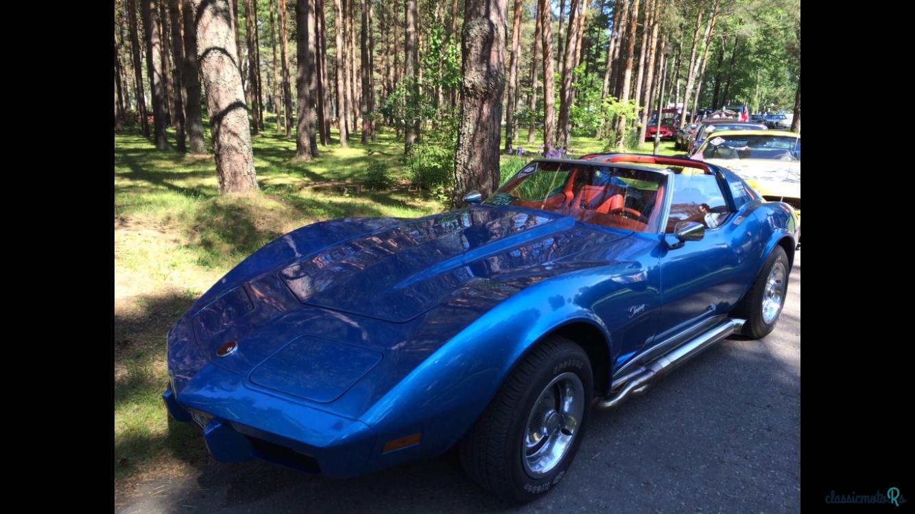 1976' Chevrolet Corvette C3 STINGRAY photo #6