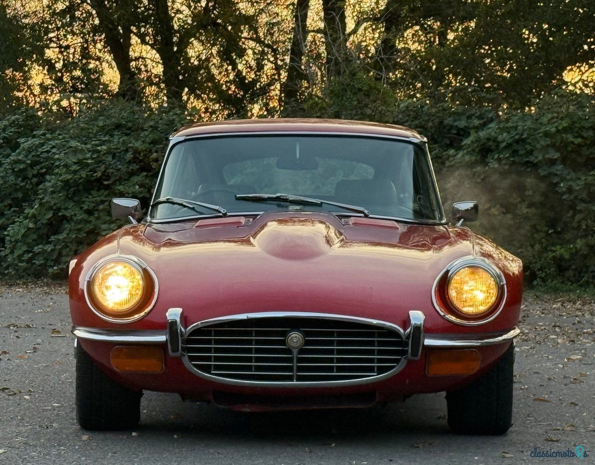 1971' Jaguar E-Type photo #1