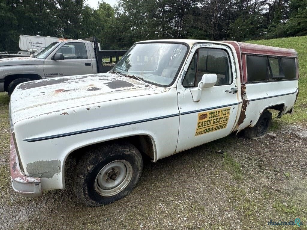 1982' Chevrolet C/K Truck photo #1