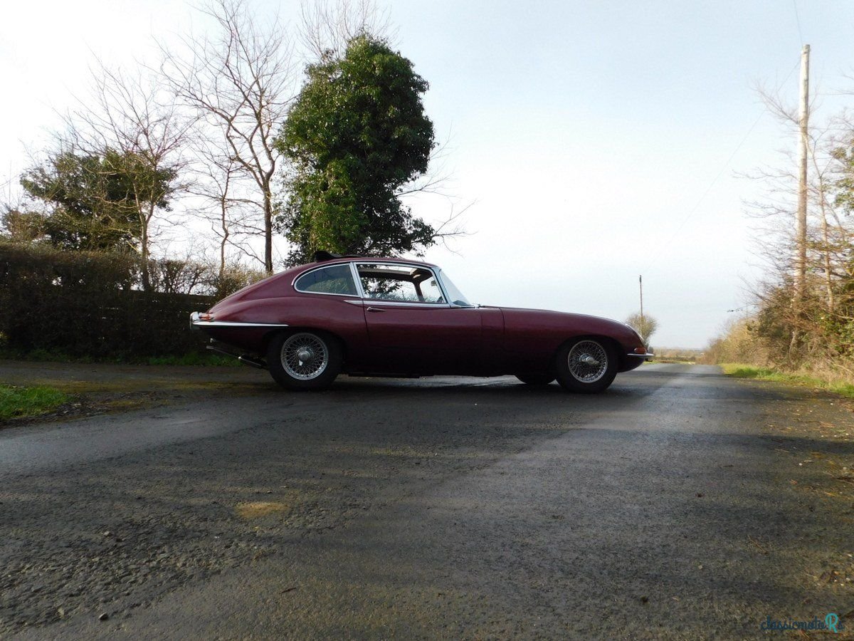 1966' Jaguar E-Type photo #6