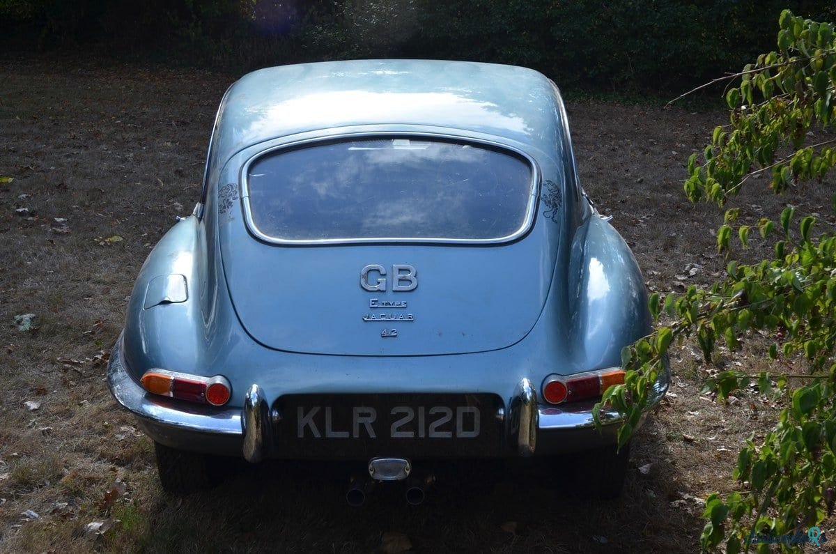 1966' Jaguar E-Type photo #5