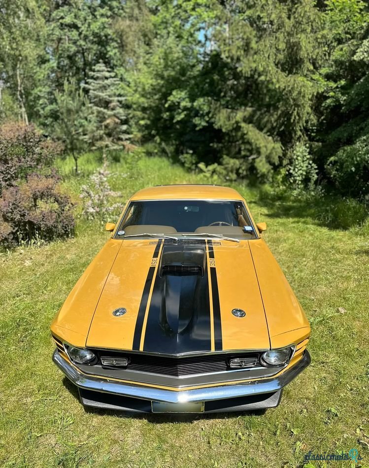 1970' Ford Mustang photo #6