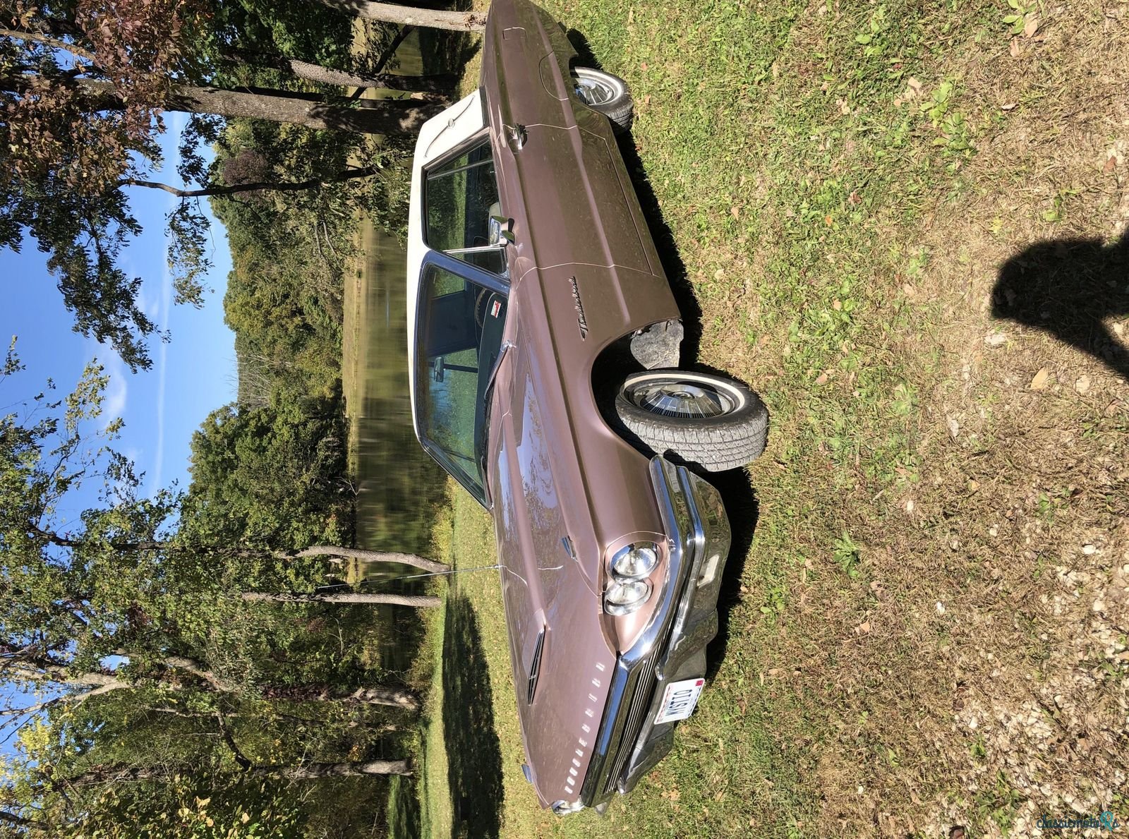 1964' Ford Thunderbird photo #1