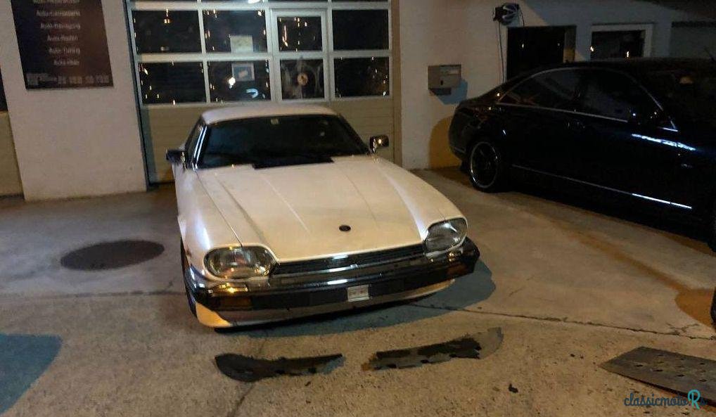 1982' Jaguar Xj S photo #2