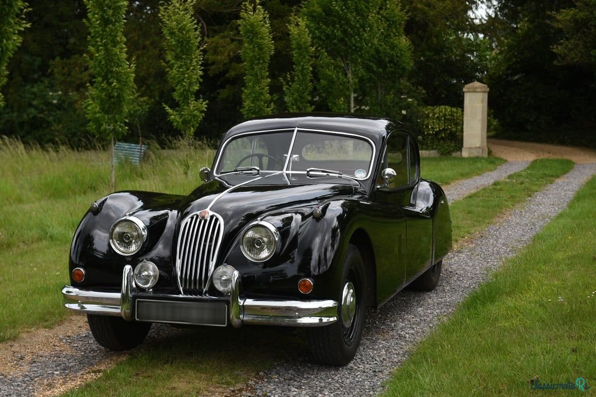 1955' Jaguar Xk140 photo #5