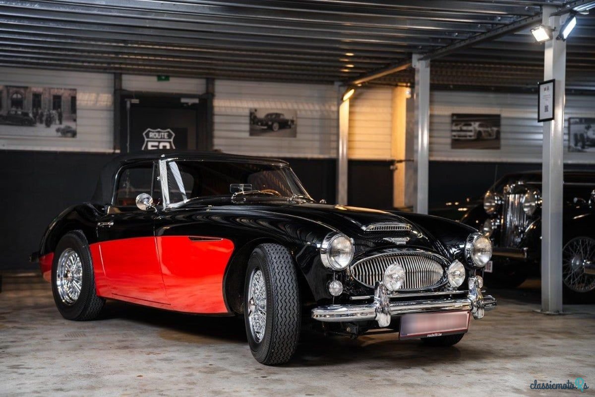 1963' Austin-Healey 3000 photo #4