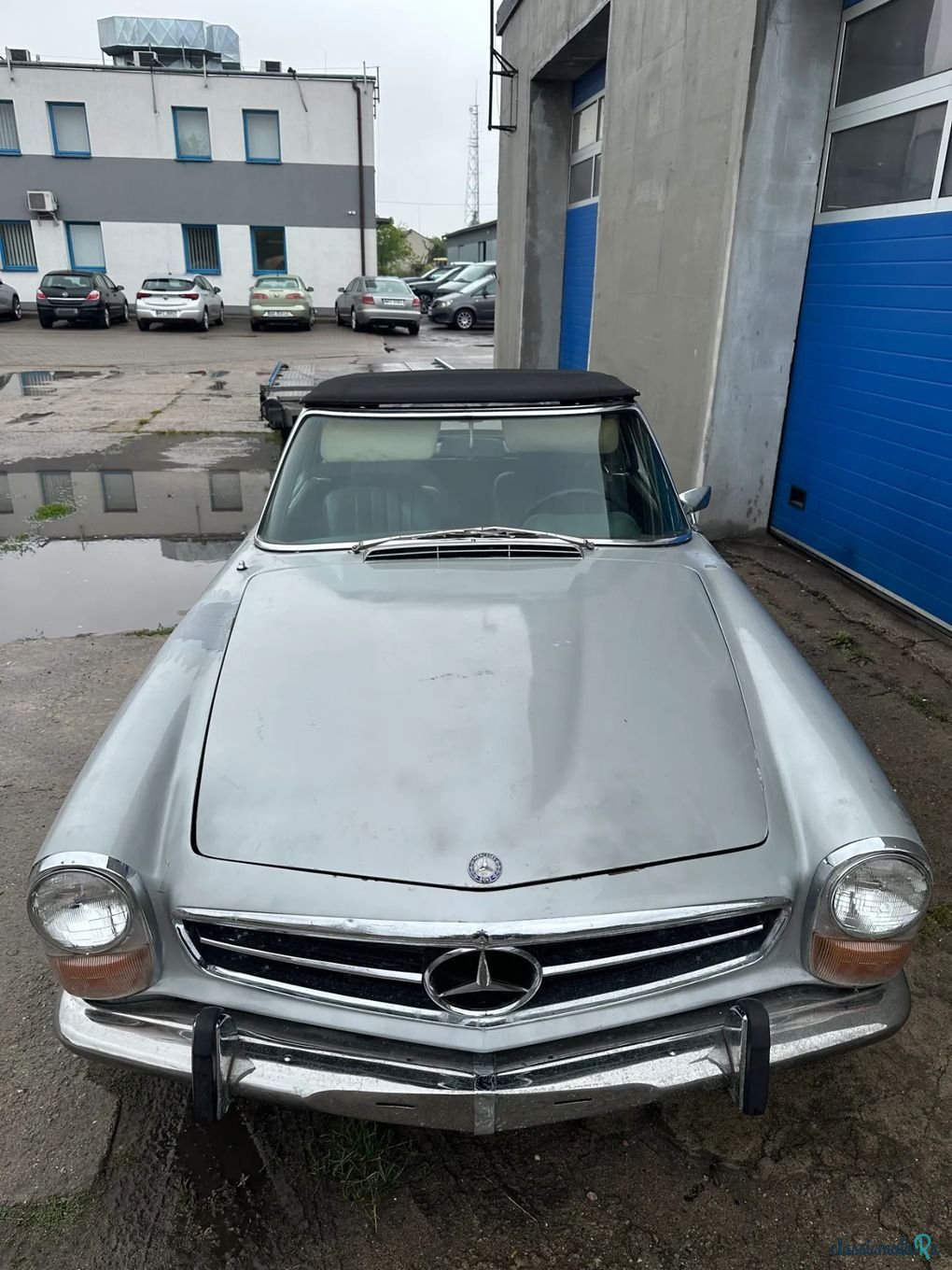 1969' Mercedes-Benz 280 photo #3