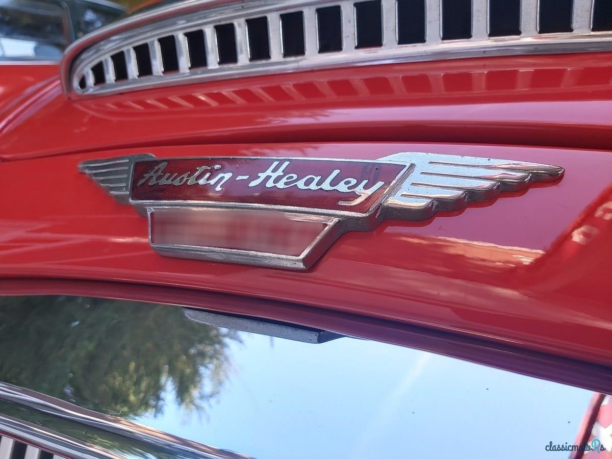 1963' Austin-Healey 3000 photo #5