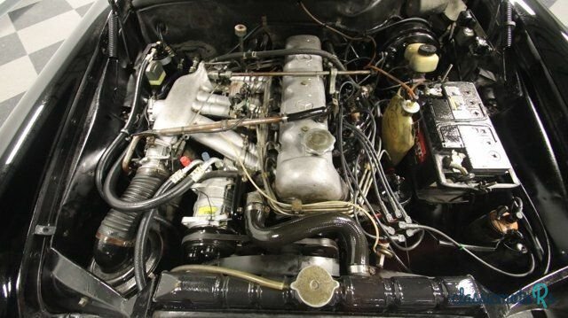 1966' Mercedes-Benz 250SE photo #2