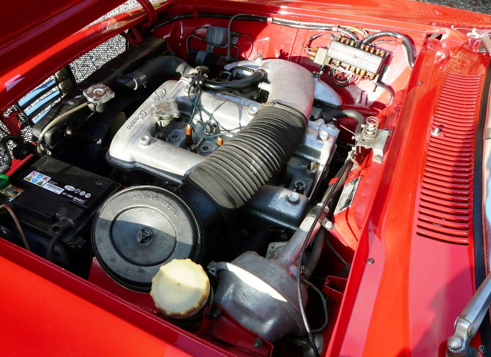 1967' Alfa Romeo Gt photo #6