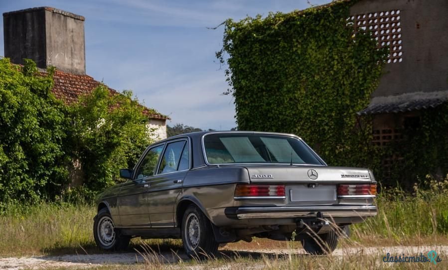 1989' Mercedes-Benz 300 photo #4