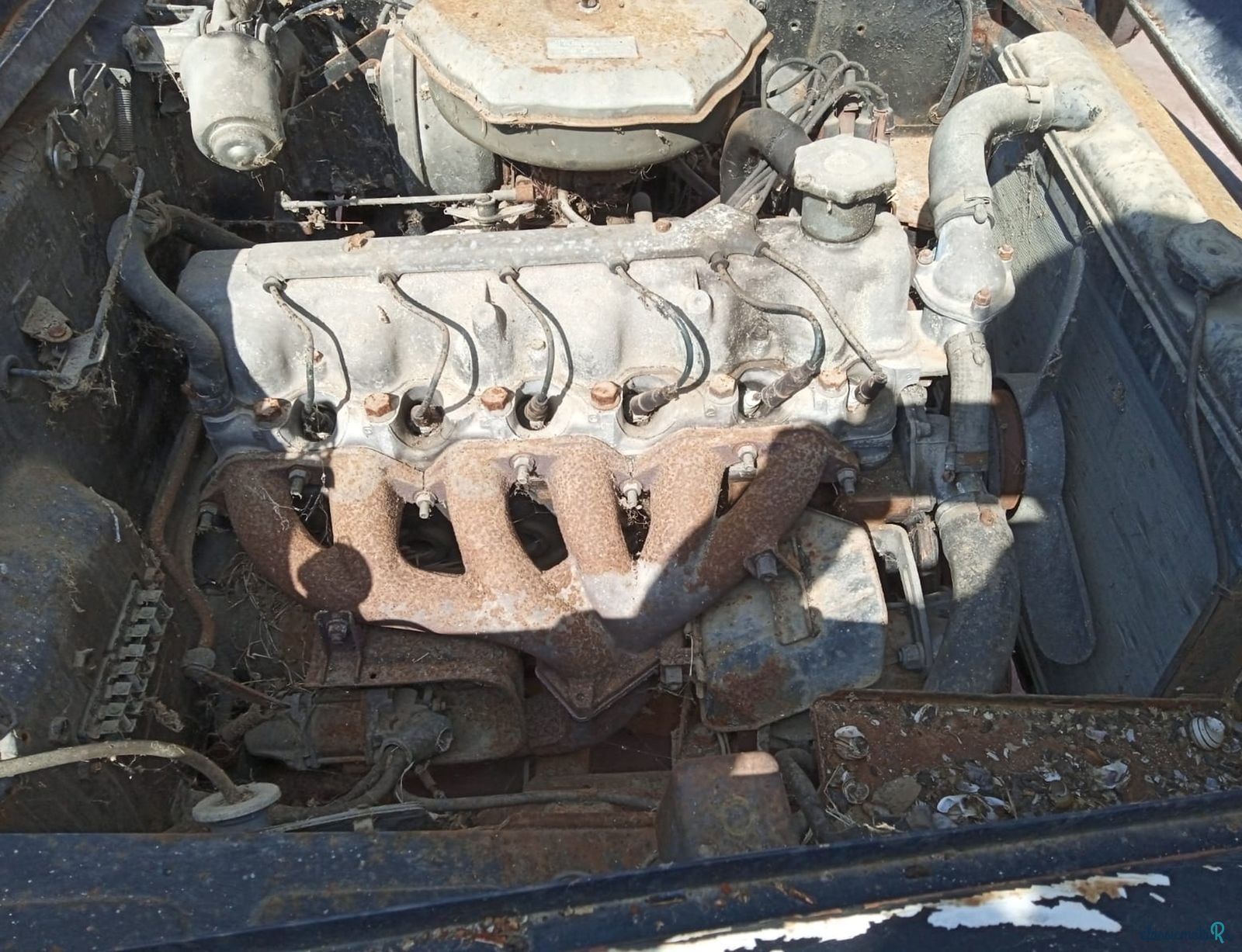 1954' Fiat 1800 photo #5