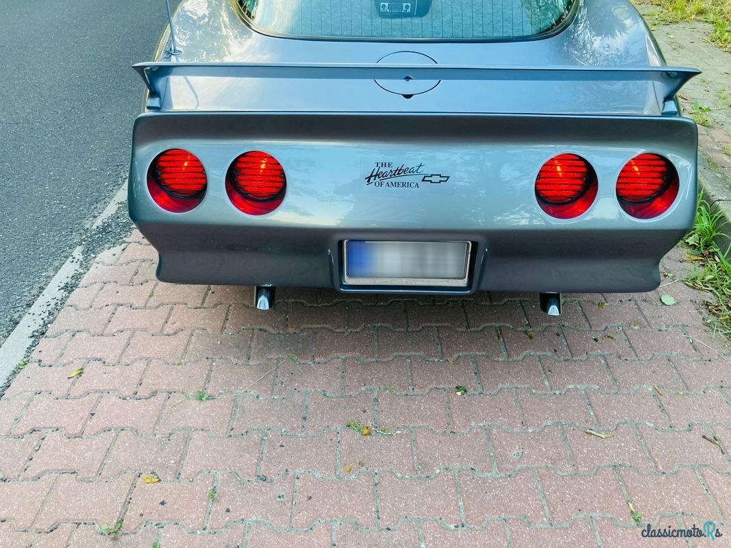 1975' Chevrolet Corvette photo #6