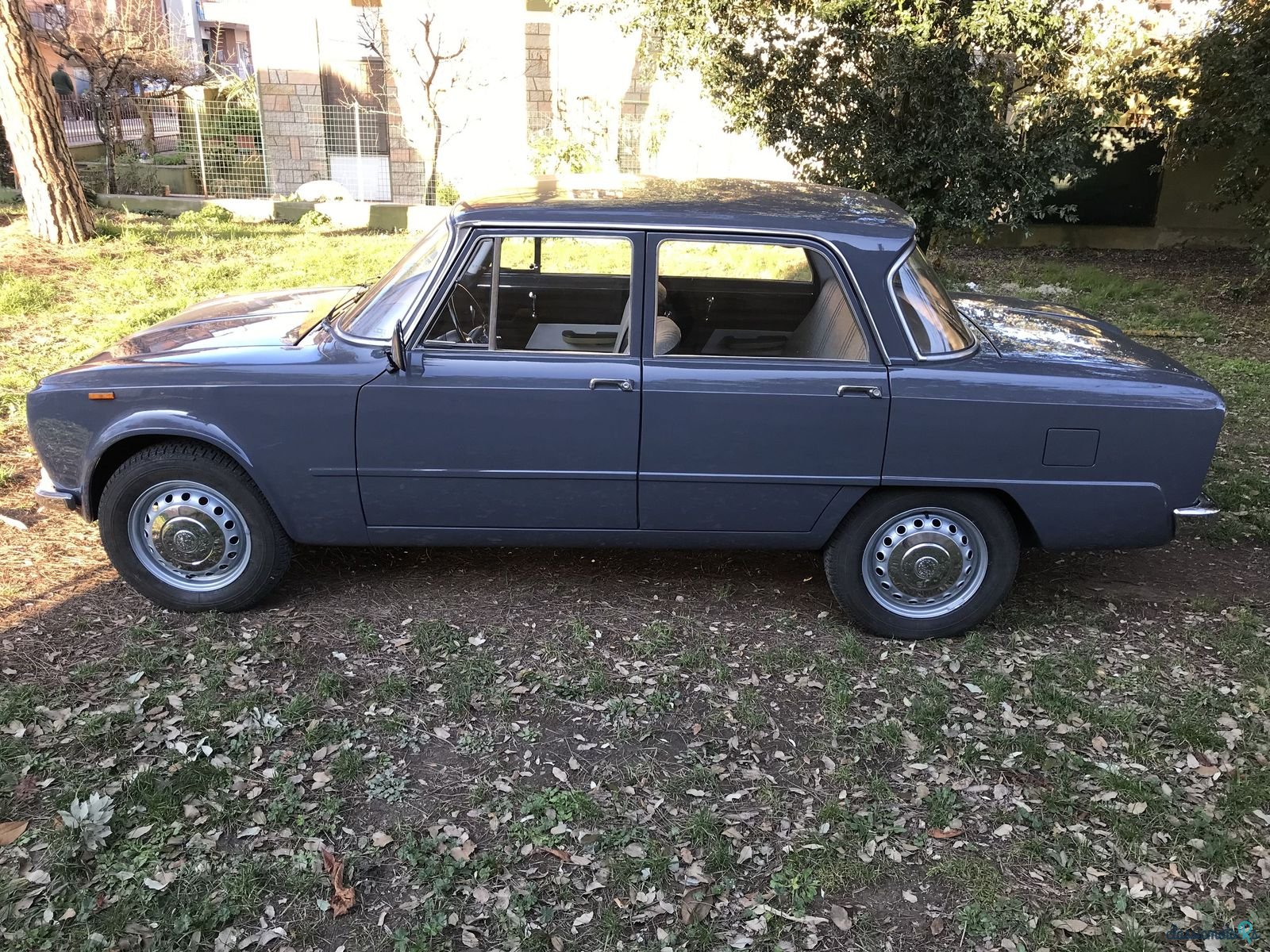 1964' Alfa Romeo Giulia photo #1