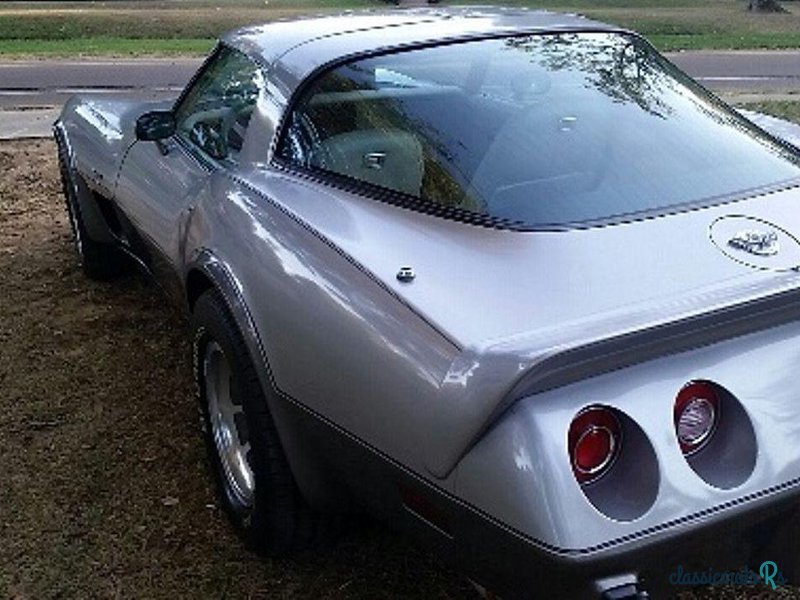 1978' Chevrolet Corvette photo #2