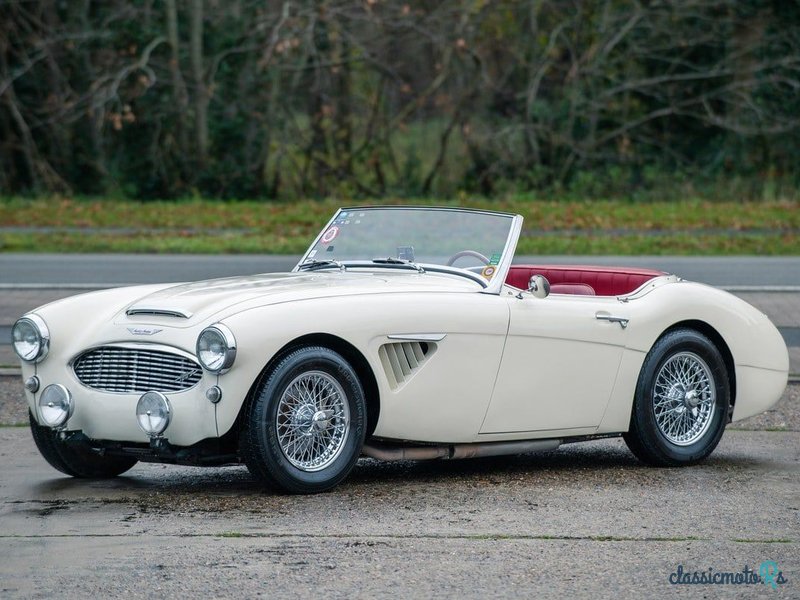 1957' Austin-Healey 100-6 photo #6