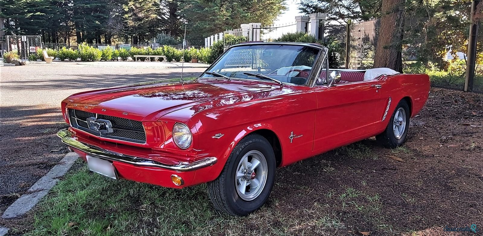 1965' Ford Mustang V8 photo #1
