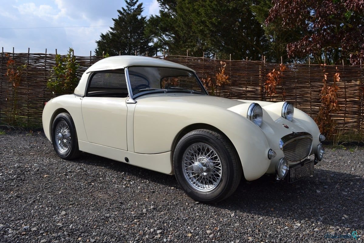 1961' Austin-Healey Sprite photo #1