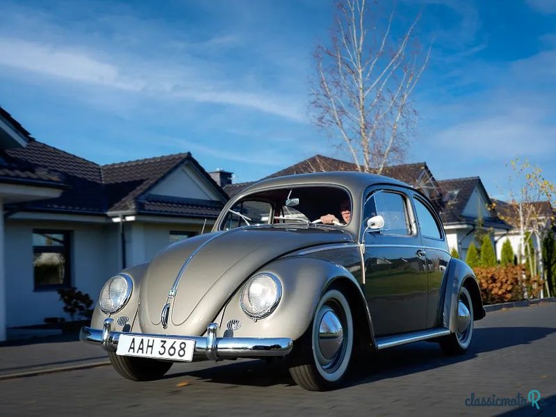 1956' Volkswagen Garbus photo #2